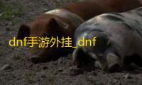 dnf手游外挂_dnf手游辅助免费版_dnf手游辅助